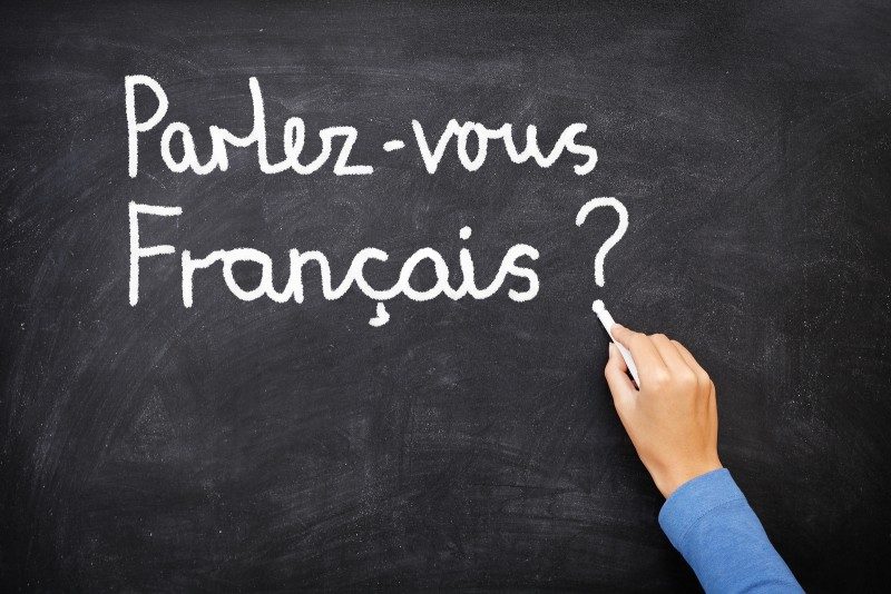 Je vais vous enseigner la langue de Molière  Freehali